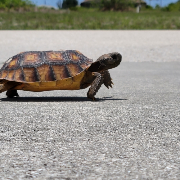 Hi I'm Blaine - Picture 1 of 1